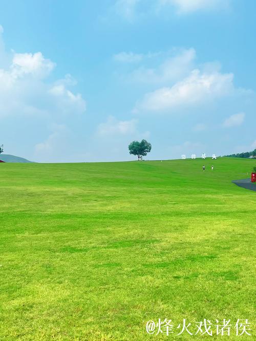 畅享青青草原视频在线高清体验